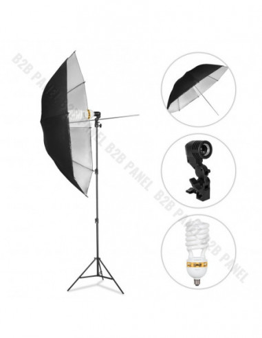 GlareOne Continuous Light Kit SUNNY SILVER-625