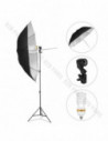 GlareOne Continuous Light Kit SUNNY SILVER-625