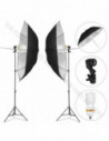 GlareOne Continuous Light Kit SUNNY SILVER-2x625