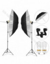 GlareOne Continuous Light Kit SUNNY SILVER-2x1250