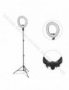 GlareOne Continuous Light Kit SUNNY RING-45