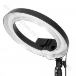 GlareOne Continuous Light Kit SUNNY RING-45