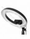 GlareOne Continuous Light Kit SUNNY RING-45