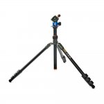 3 Legged Thing Punks Patti