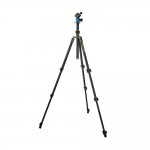 3 Legged Thing Punks Patti