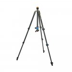 3 Legged Thing Punks Patti