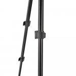 3 Legged Thing Punks Patti