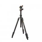 3 Legged Thing Punks Patti Black