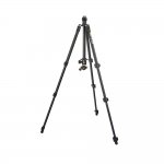 3 Legged Thing Punks Patti Black