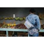 PEAK DESIGN Everyday Sling 3L - Ash