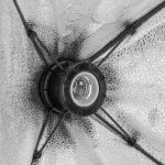 GlareOne Softbox Continuous Light 60x60 - 1 Bulb