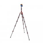 3 Legged Thing Leo 2.0 Bronze