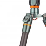 3 Legged Thing Ray Grey