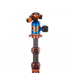 3 Legged Thing Ray Bronze