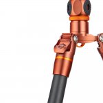 3 Legged Thing Ray Bronze