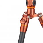 3 Legged Thing Ray Bronze