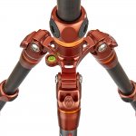 3 Legged Thing Ray Bronze