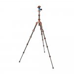 3 Legged Thing Ray Bronze