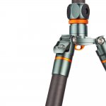 3 Legged Thing Bucky Grey