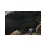 Peak Design Mobile Car Mount VHB Charging - Magnetyczny Uchwyt Samochodowy Do Telefonu z Bezp. Ładowarką - Czarny