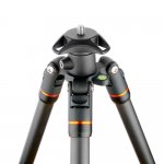 3 Legged Thing Punks Billy Black 2.0