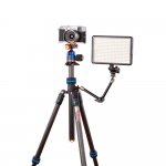 3 Legged Thing Punks Billy Blue 2.0