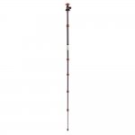 3 Legged Thing Punks Brian Black 2.0