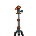 3 Legged Thing Punks Brian Black 2.0