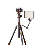 3 Legged Thing Punks Travis Black 2.0