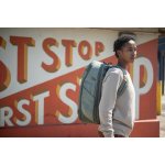 Travel Line Peak Design Travel Backpack 30L Sage